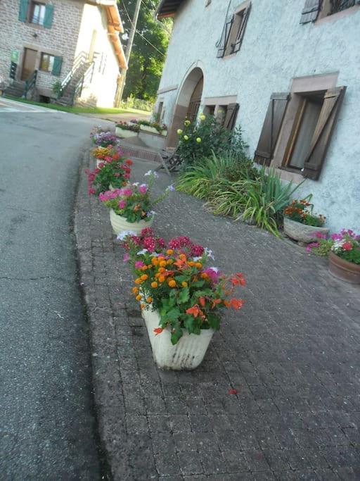 Gite La Fermette A Docelles Extérieur photo