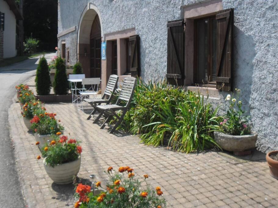 Gite La Fermette A Docelles Extérieur photo