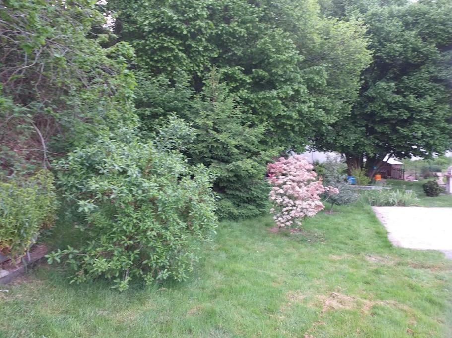 Gite La Fermette A Docelles Extérieur photo